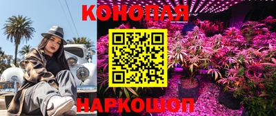 Альфа ПВП Усть-Джегута